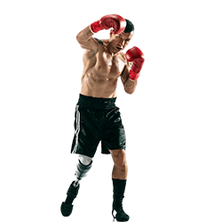 Boxing Top Online Sports Betting