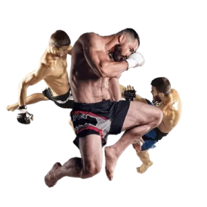 MMA Top Online Sports Betting