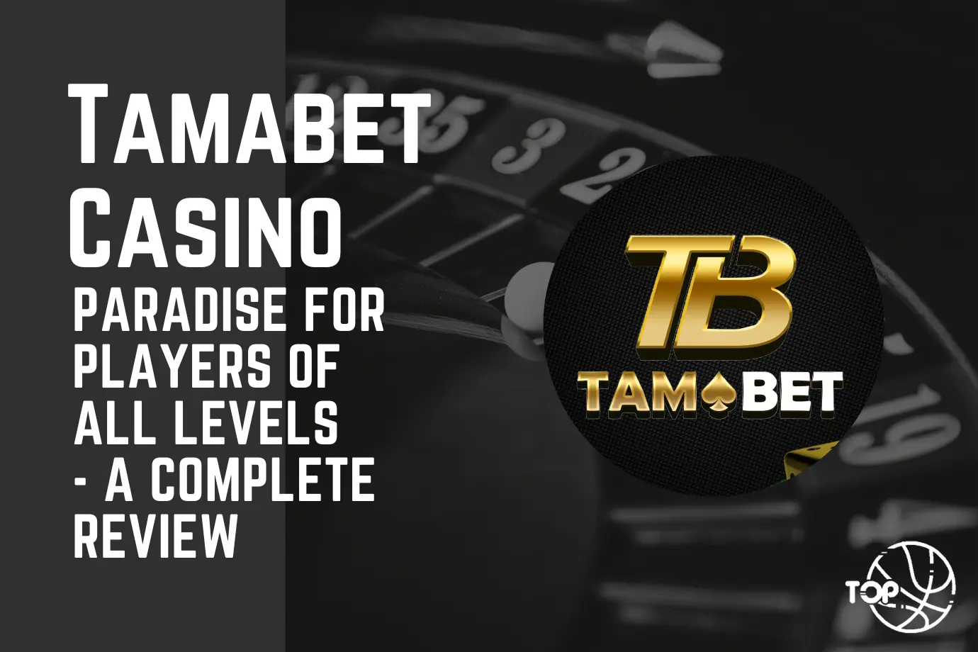 Tamabet Casino: Paradise for Players of All Levels - A Complete Review